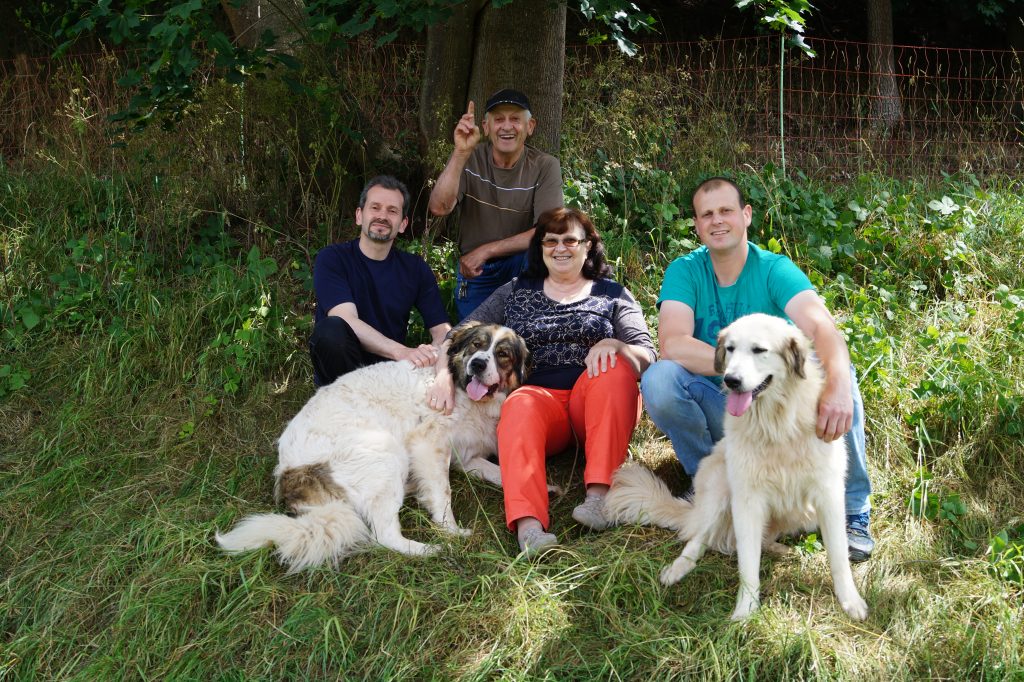 Vier Personen mit zwei Hunden