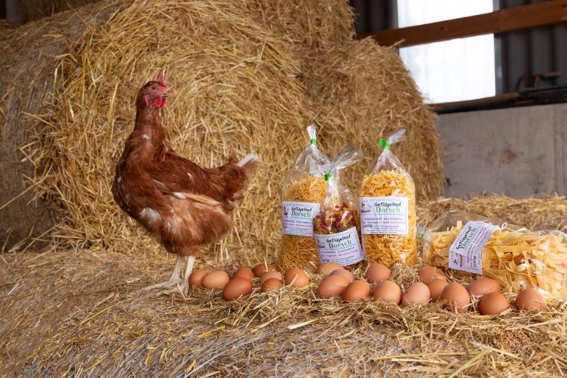 Huhn und frische Eier